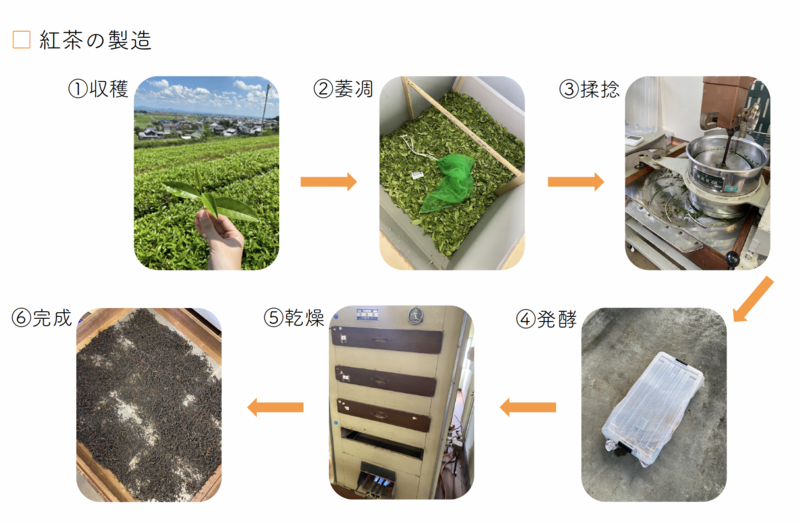 スクリーンショット 2024-07-11 10.57.09.png