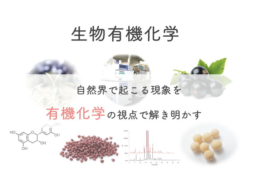 研究室紹介トップ.png