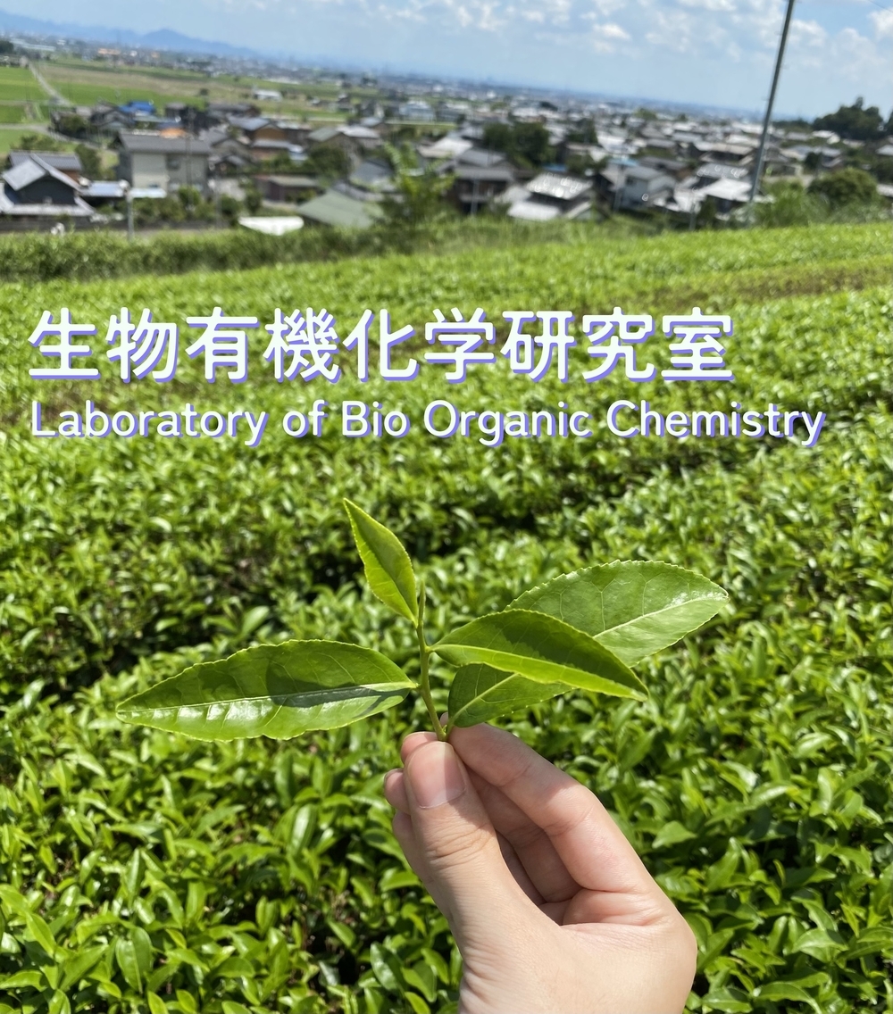 生物有機化学研究室