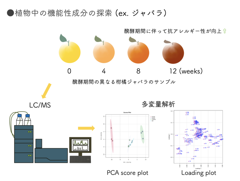 スクリーンショット 2025-04-14 21.23.59.png