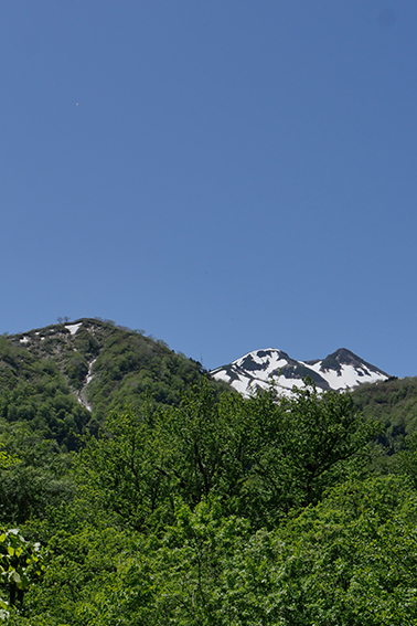 白山、山岳圏、森林、環境共生、山岳圏、森林、環境共生、学位｜登山｜山岳部｜ワンダーフォーゲル部