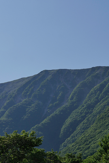 伊吹山 伊吹山、石灰岩、カルスト地形、山岳圏、森林、環境共生、登山、山岳部、ワンダーフォーゲル部、大学