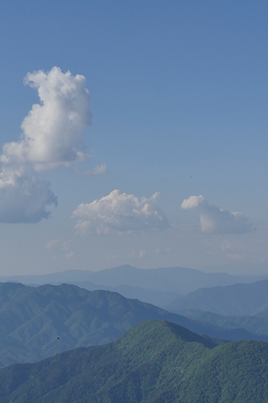 能郷白山 能郷白山、山岳圏、森林、環境共生、登山、山岳部、ワンダーフォーゲル部、大学