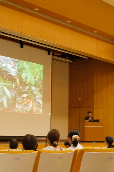 模擬講義 片畑伸一郎、岐阜大学、ヤマグルマ、森林科学