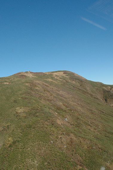 能郷白山、山岳圏、森林、環境共生、山岳圏、森林、環境共生｜登山｜山岳部｜ワンダーフォーゲル部｜大学