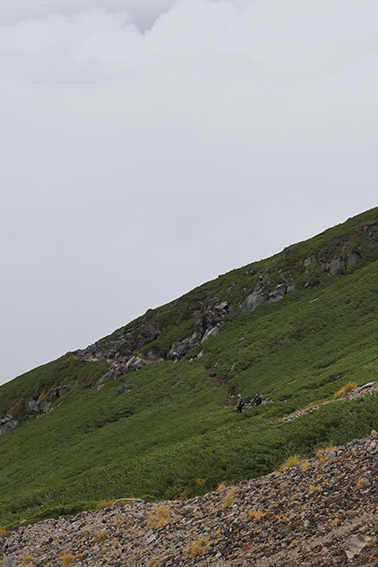 御嶽山、山岳圏、森林、雷鳥、ライチョウ｜登山｜山岳部｜ワンダーフォーゲル部｜大学