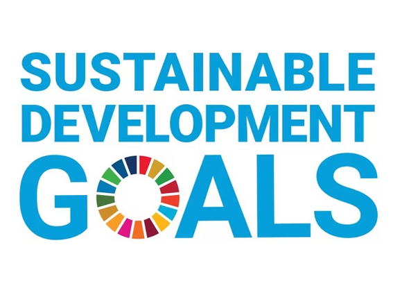 SDGs_goals｜岐阜大学　森林生態学研究室｜生態系｜寄付｜保全｜共生｜保護｜生物多様性