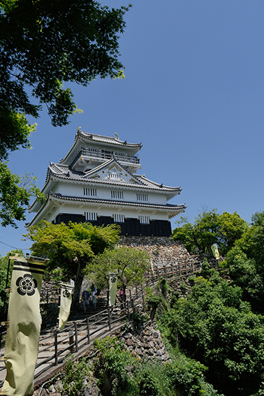 金華山、山岳圏、森林、環境共生、山岳圏、森林、環境共生｜登山｜山岳部｜ワンダーフォーゲル部