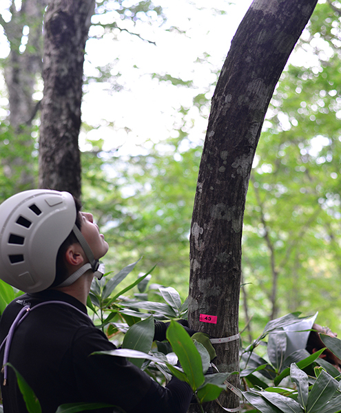 森林生態学研究室｜岐阜大学応用生物科学部｜生態系｜生物多様性｜調査｜実習