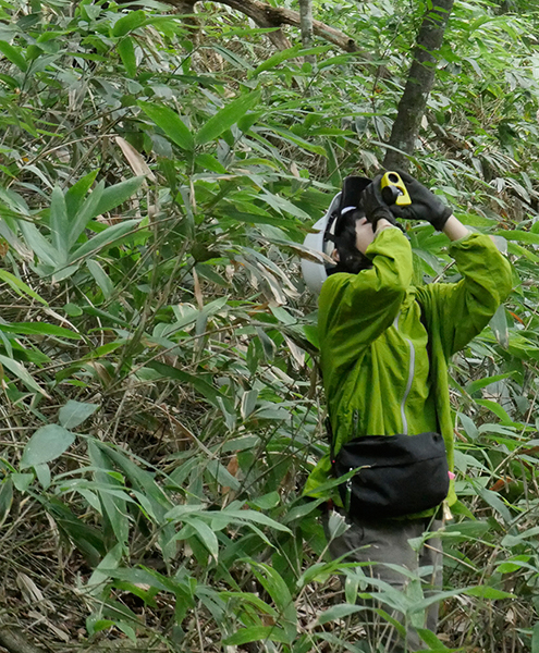 森林生態学研究室｜岐阜大学応用生物科学部｜生態系｜生物多様性｜絶滅危惧種｜森林計測