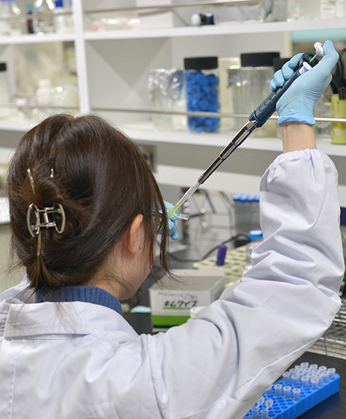 森林生態学研究室｜岐阜大学応用生物科学部｜生態系｜生物多様性｜バイオ｜遺伝的多様性｜形質