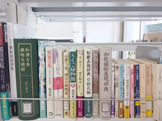 植物表象（森林生態学研究室）