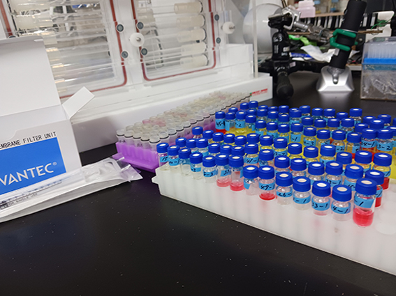 HPLC（岐阜大学森林生態学研究室）