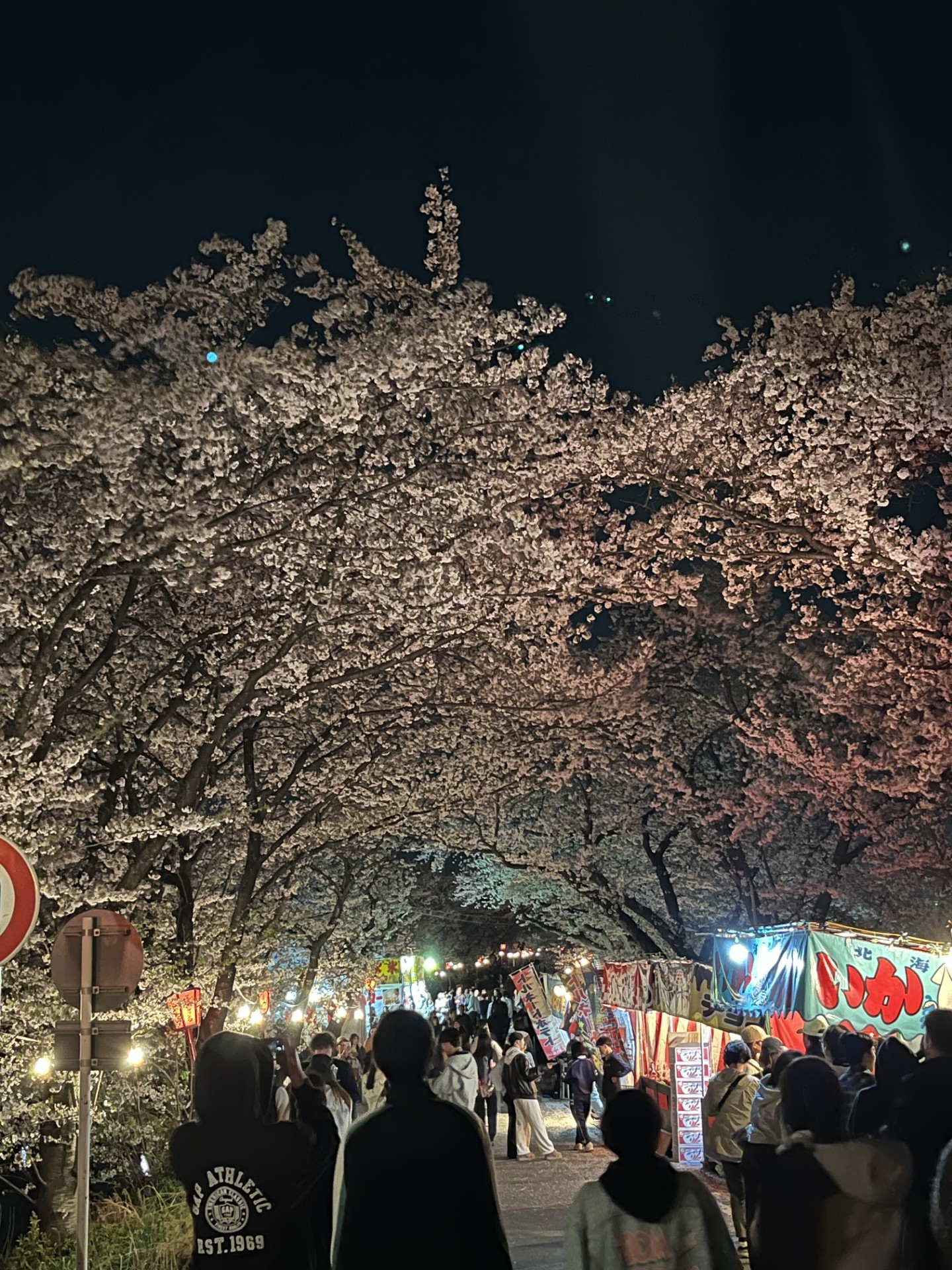 花見２.jpg