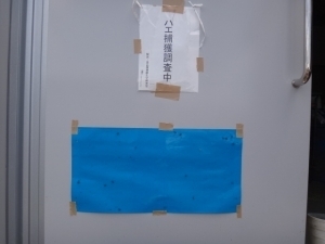 DSC05169-1.jpg