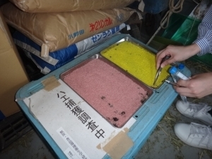 DSC05173-1.jpg