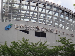 DSC06679.JPG