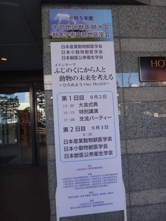 DSC07094.JPG