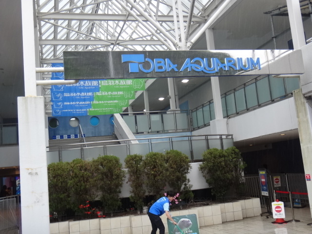 DSC07816.JPG