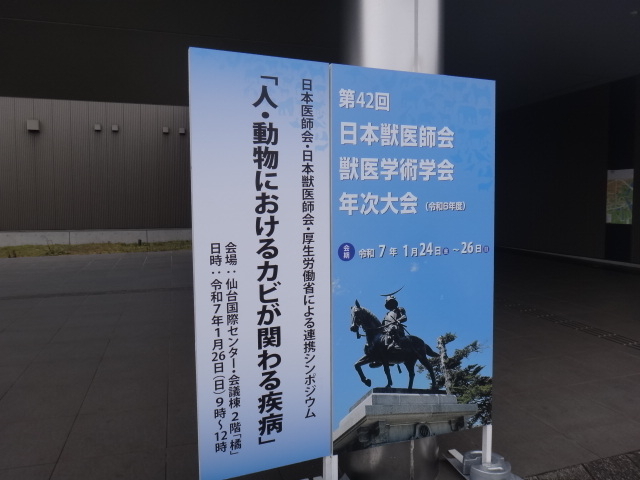 DSC08581.JPG