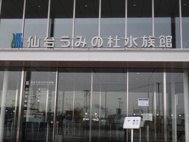 DSC08595.JPG