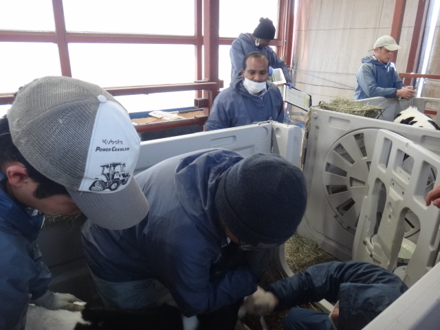 DSC08732.JPG