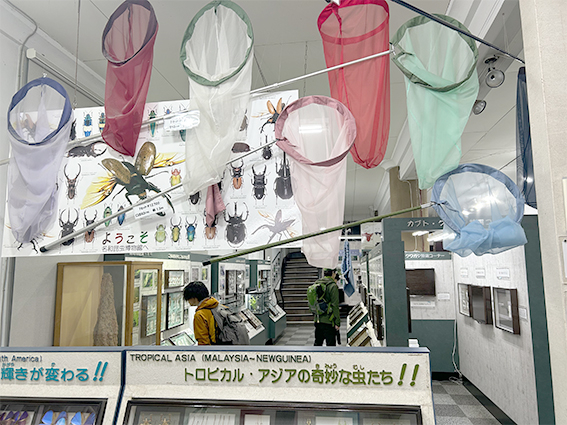 IMG_1359s_himuro.jpg