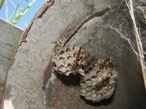 IMG_5399k.jpg