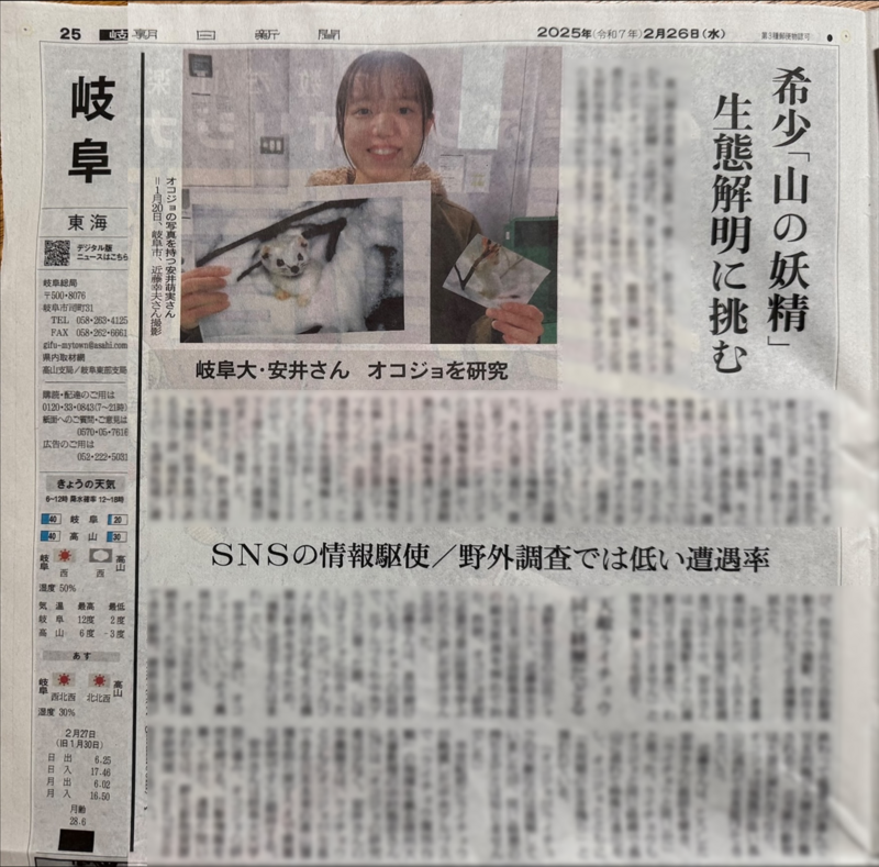 朝日新聞20250226オコジョ.png