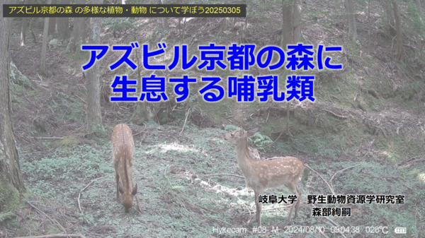 スクリーンショット 2025-03-05 23.52.25.png