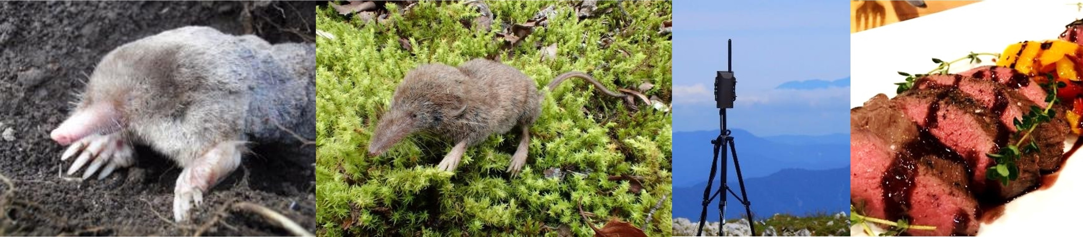 野生動物資源学研究室