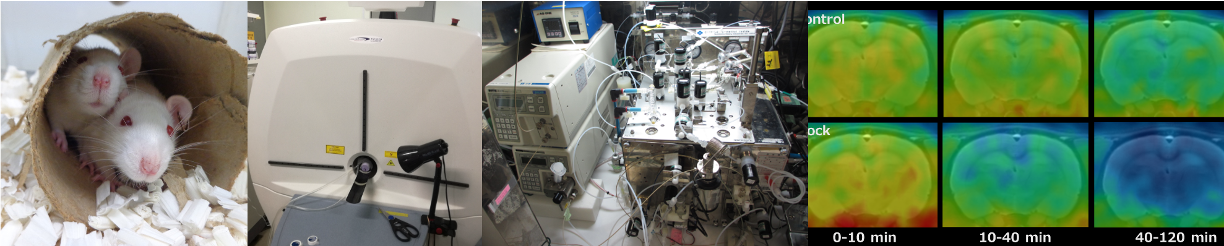 生物有機化学研究室（有機合成化学）