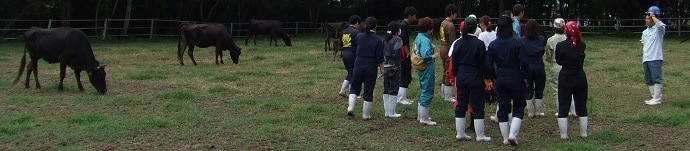 産業動物臨床学研究室