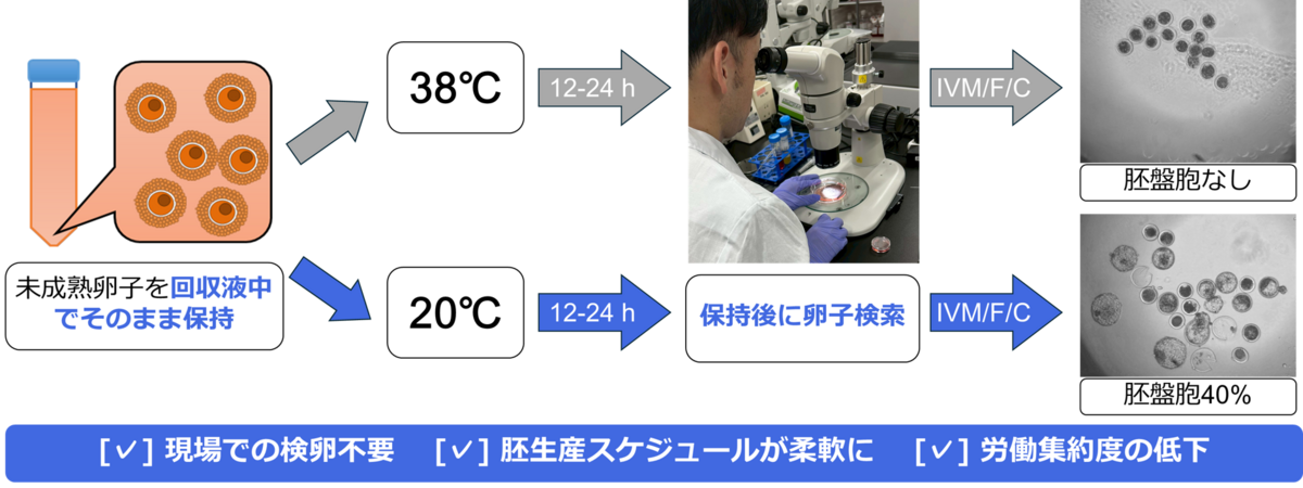 Graphical Abstract日本語.png