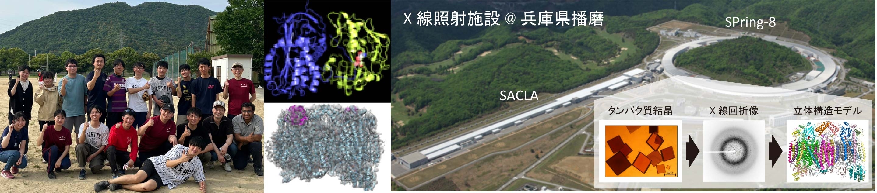 生体分子機能学研究室