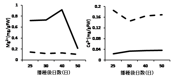 アマラン成分のコピー.jpg