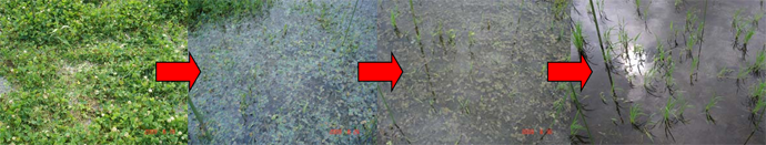 図1.png