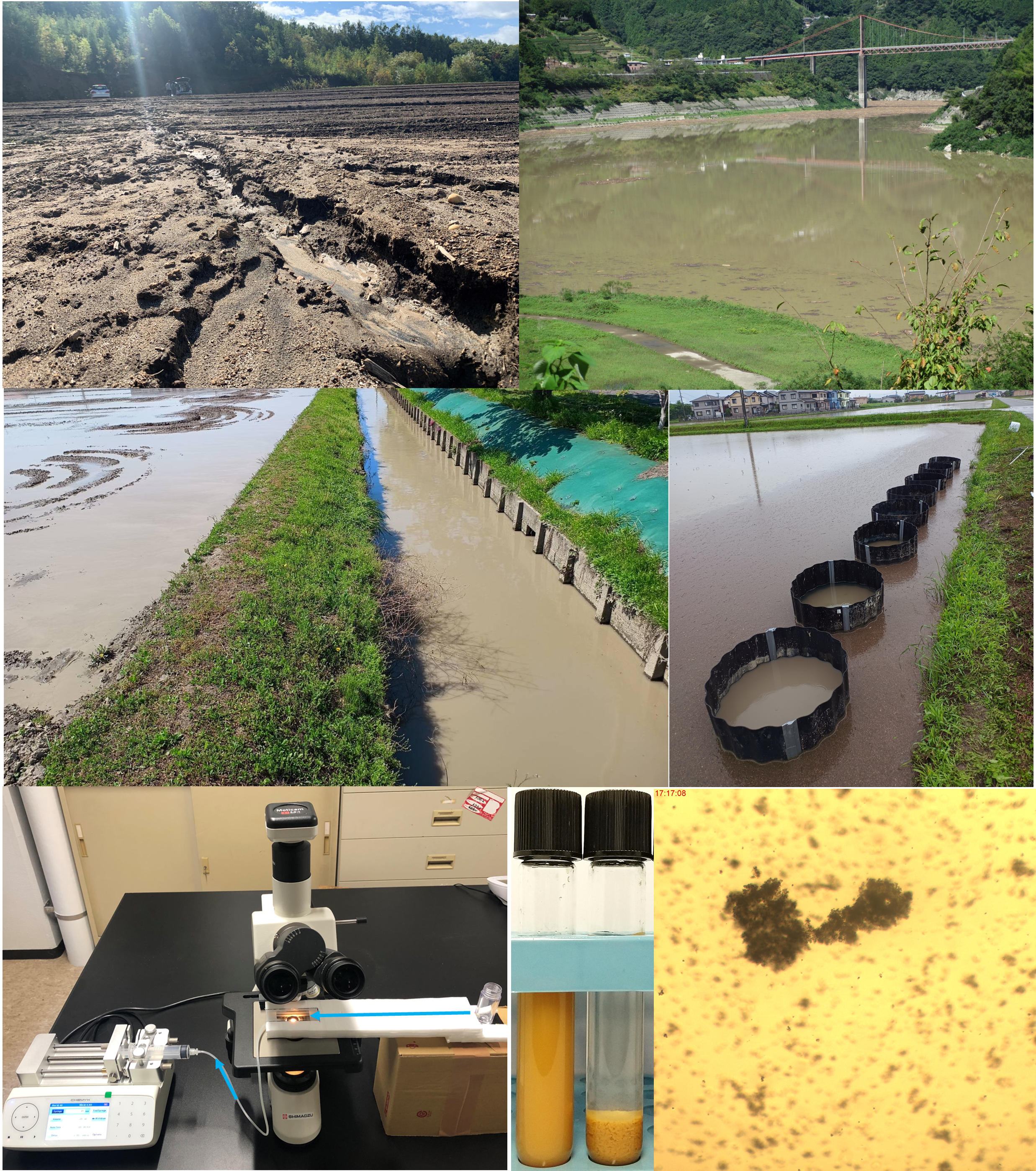 研究に関連の写真