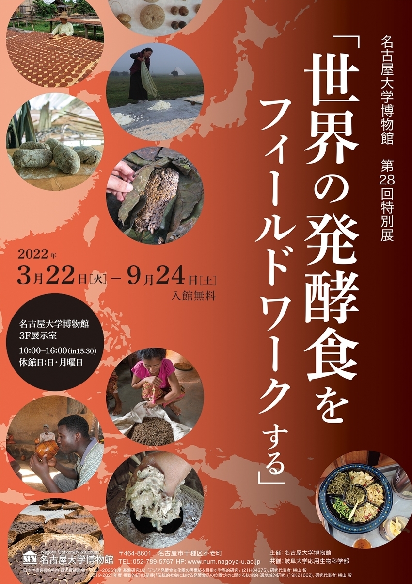 世界の発酵食展