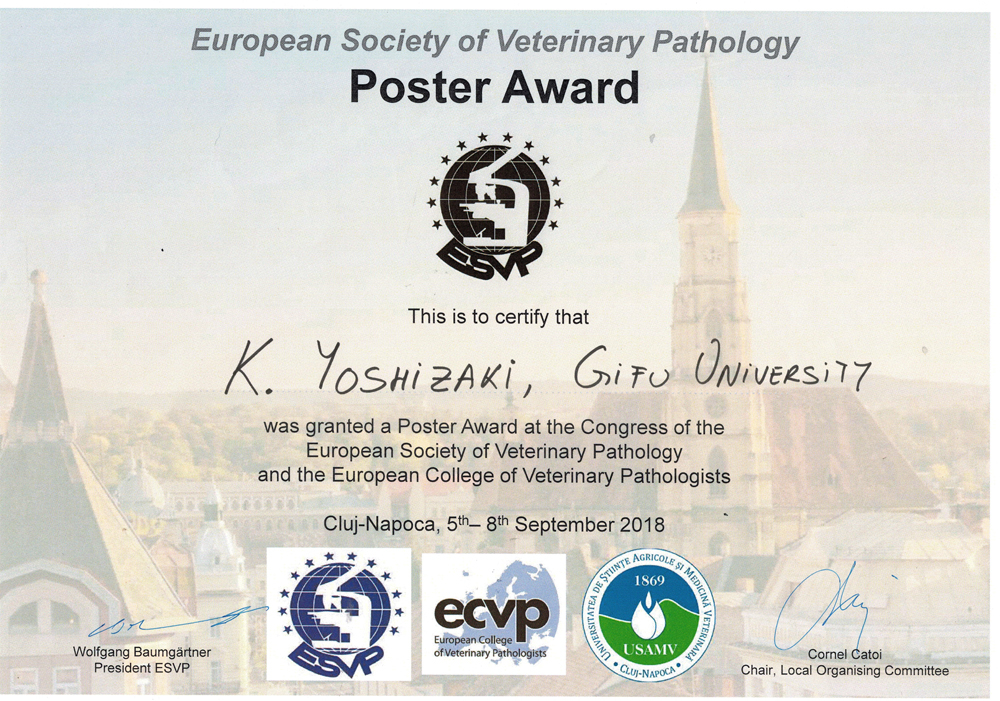 ECVP Poster award.jpg