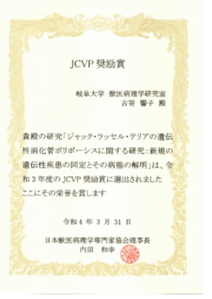 download.png