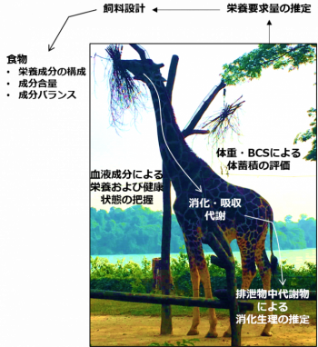 Web research content 2.png