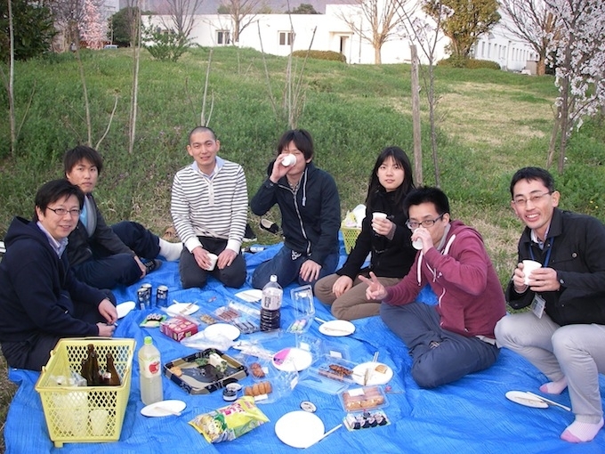 2015hanami.jpg