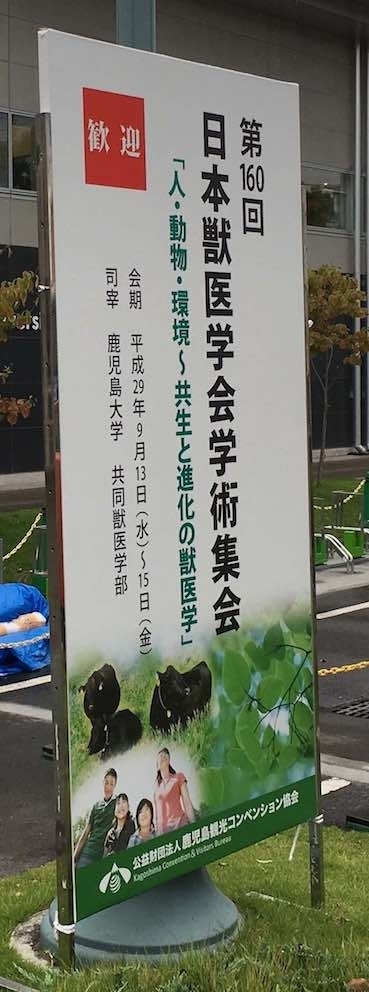 2017jyuui1.jpg
