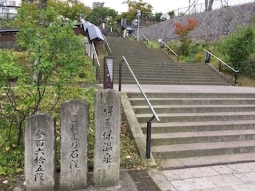 2018seitaikinou2.jpg