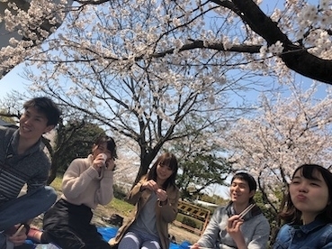 2019hanami.jpg
