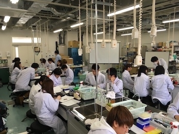 2019seika1.jpg