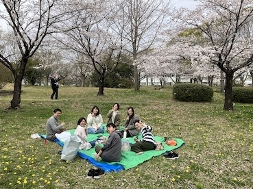 2024hanami.JPG