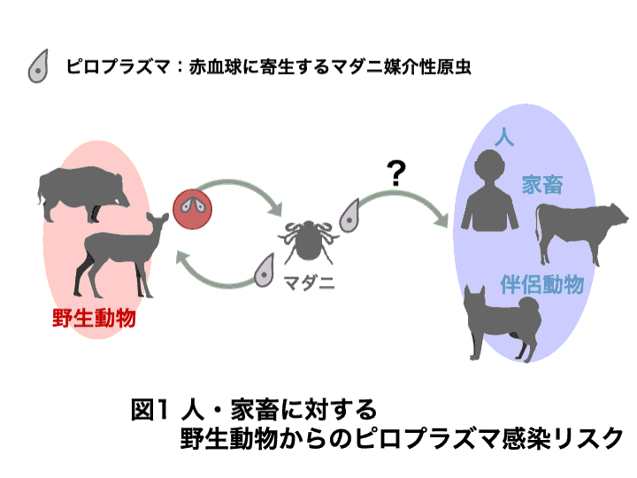 4defa00151ebf27d1f3729bc26a1b00e.gif