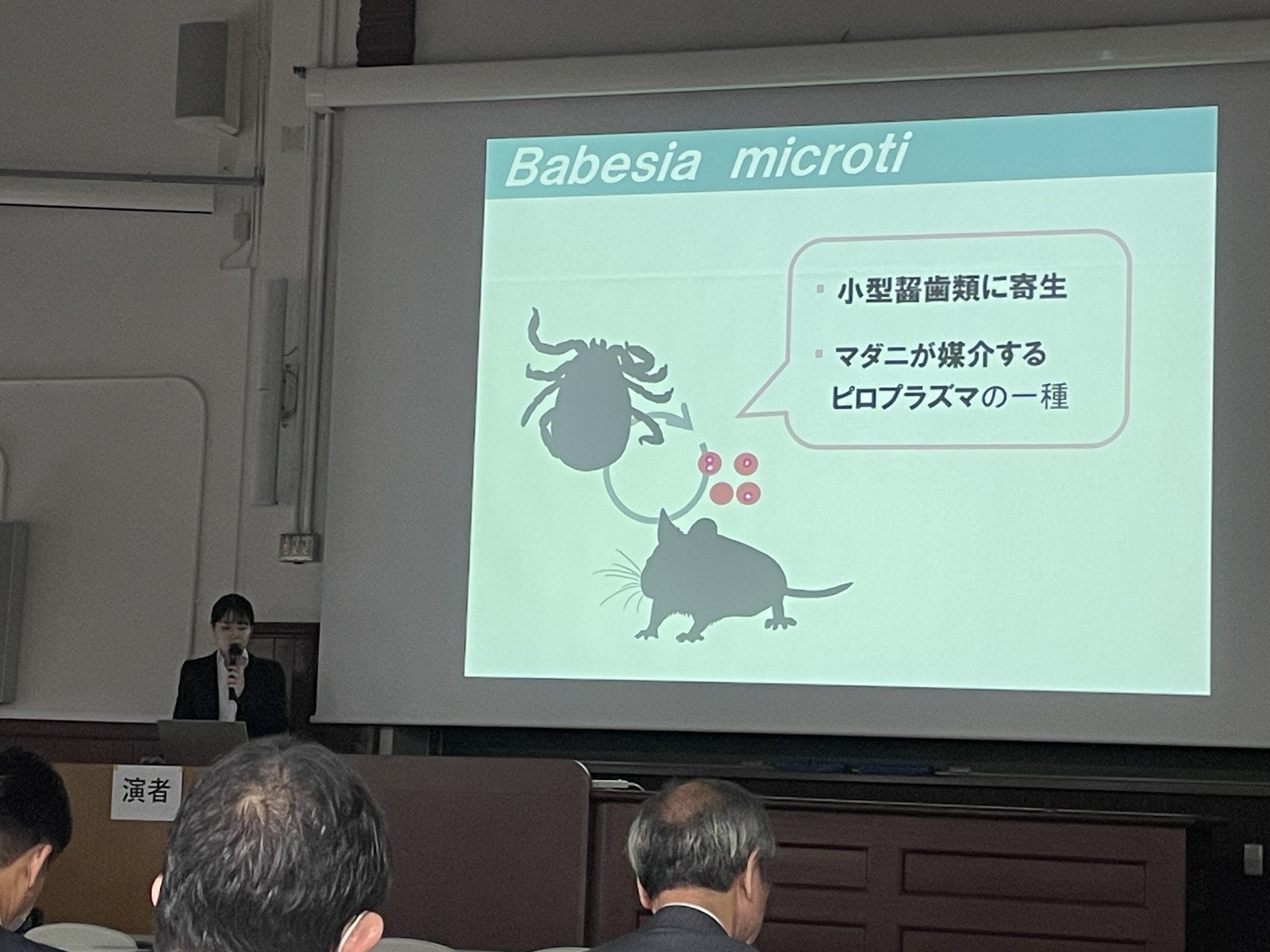 Babesia microti.jpg